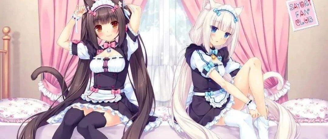 为了捕获人类，猫咪决定成为女神