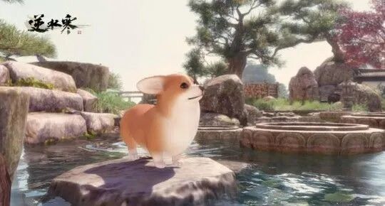 魔域辅助工具_正版魔域辅助工具_辅助魔域工具怎么用