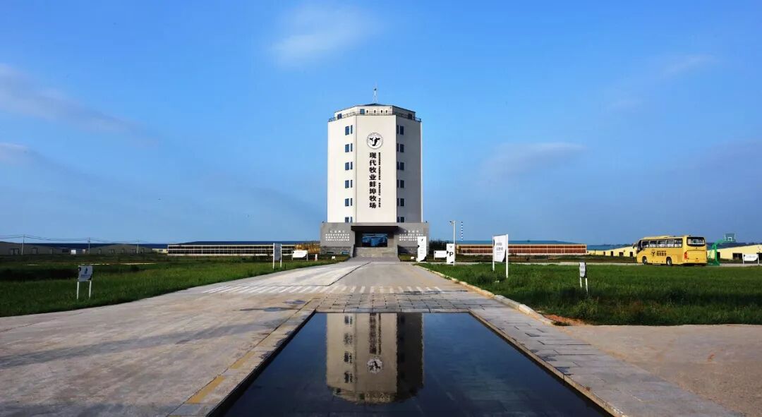 现代牧业蚌埠反向路演圆满完成