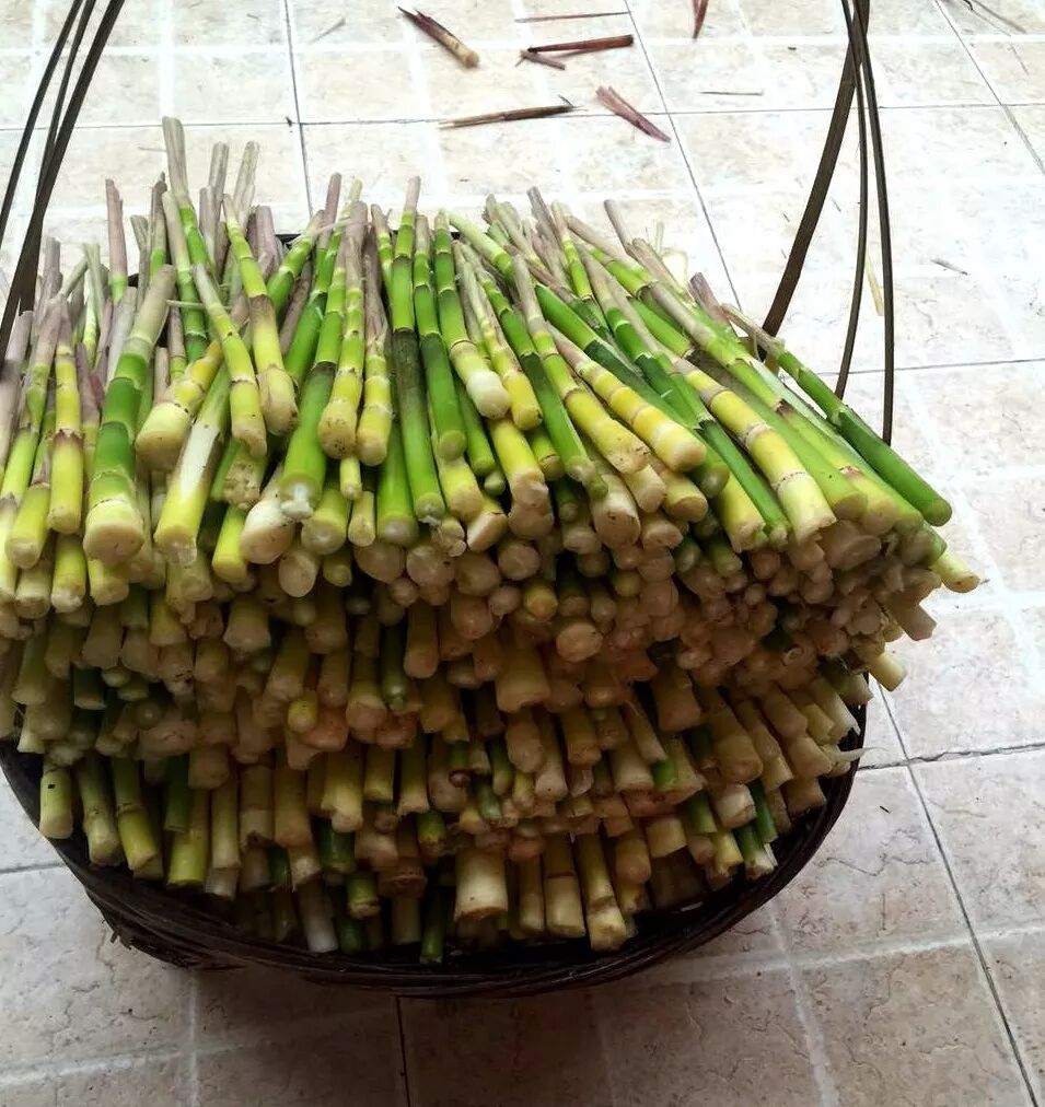 春笋正当鲜错过又要等一年农业君给您带来肇庆吃笋攻略