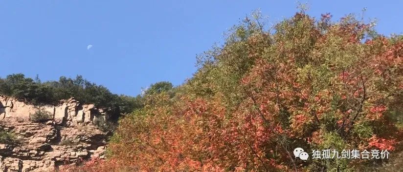 2021.05.19集合竞价