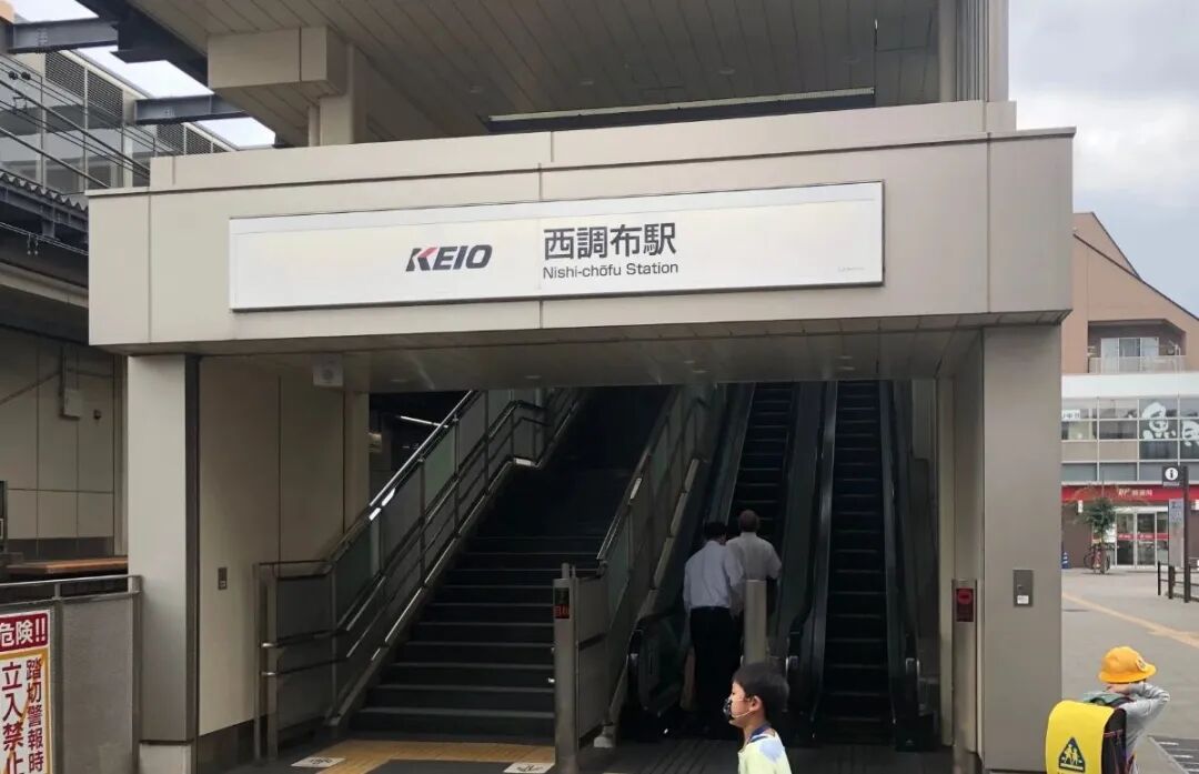 东京水族游记 连招牌都没有的隐世好店 Ifish水族观赏鱼 微信公众号文章阅读 Wemp