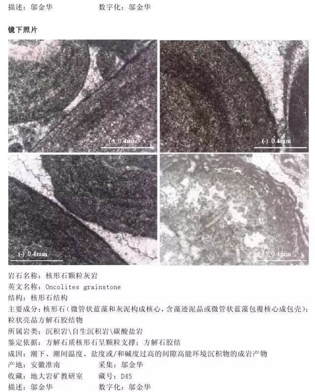 三大岩类190种岩石鉴定图册，看完你就是专家！的图191