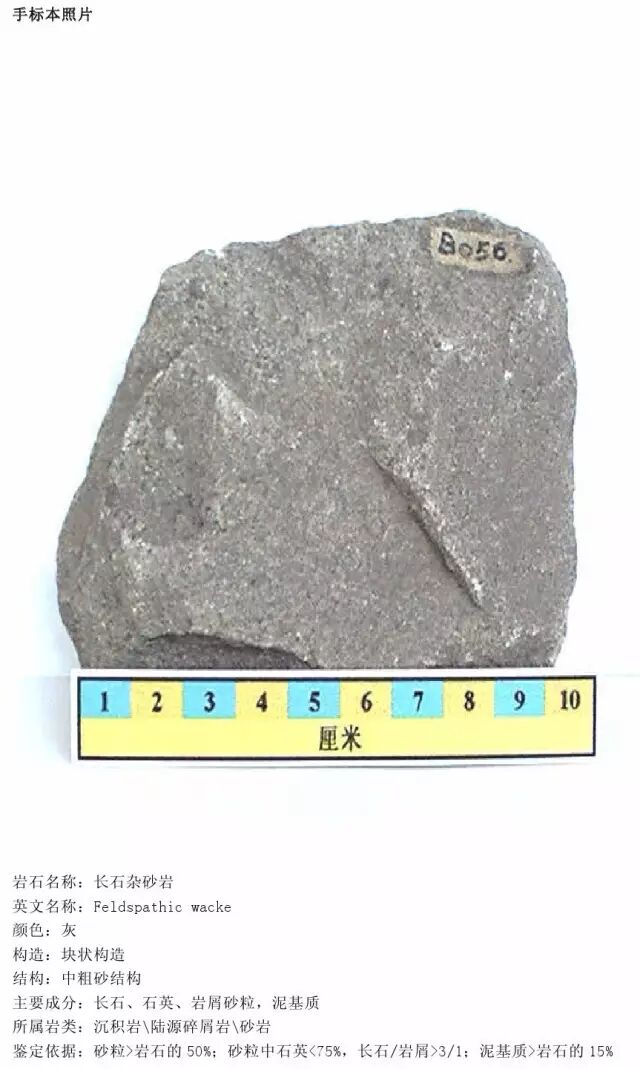 三大岩类190种岩石鉴定图册，看完你就是专家！的图165