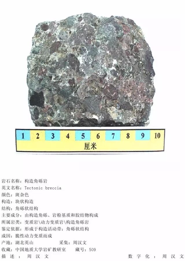 三大岩类190种岩石鉴定图册，看完你就是专家！的图274