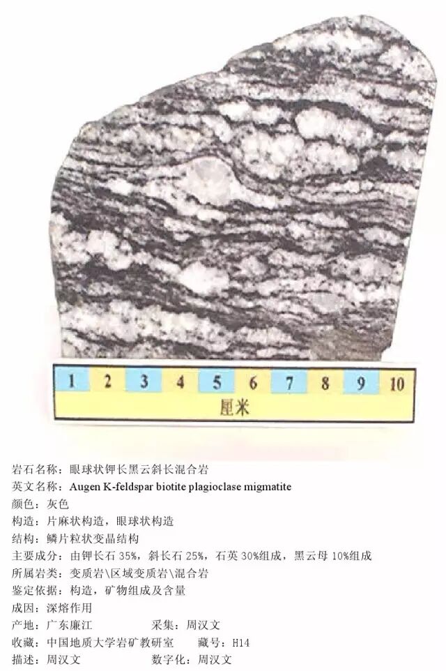 三大岩类190种岩石鉴定图册，看完你就是专家！的图375