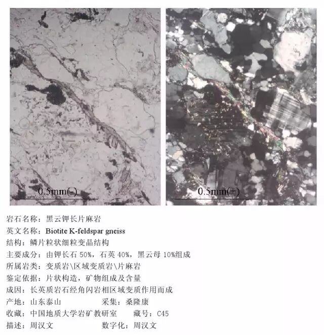 三大岩类190种岩石鉴定图册，看完你就是专家！的图325