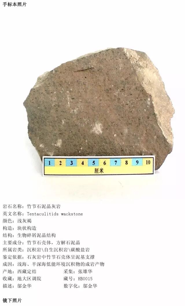 三大岩类190种岩石鉴定图册，看完你就是专家！的图216