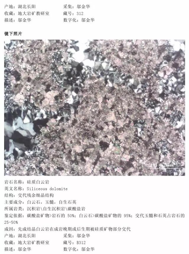 三大岩类190种岩石鉴定图册，看完你就是专家！的图229