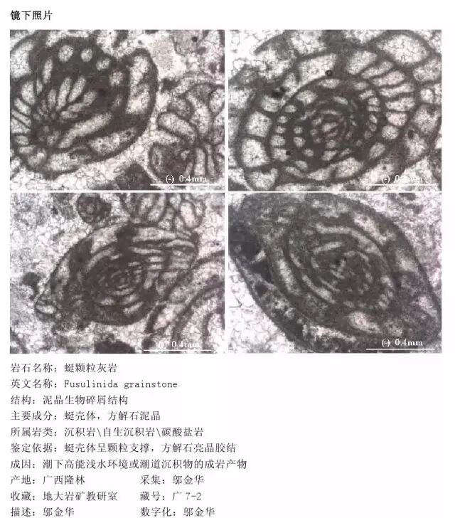 三大岩类190种岩石鉴定图册，看完你就是专家！的图195