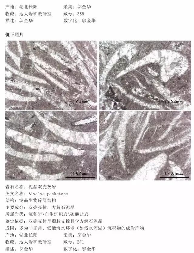 三大岩类190种岩石鉴定图册，看完你就是专家！的图203