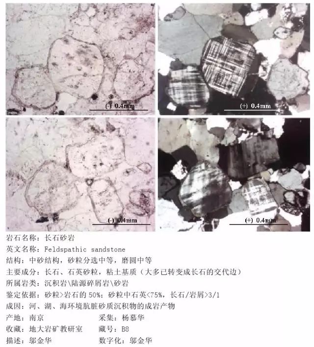 三大岩类190种岩石鉴定图册，看完你就是专家！的图162