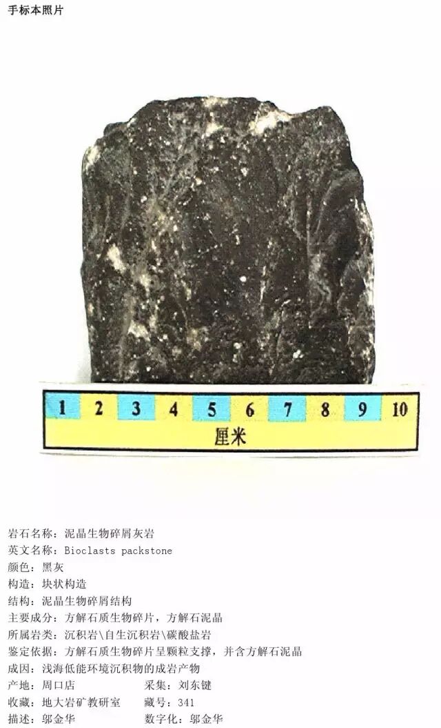 三大岩类190种岩石鉴定图册，看完你就是专家！的图198