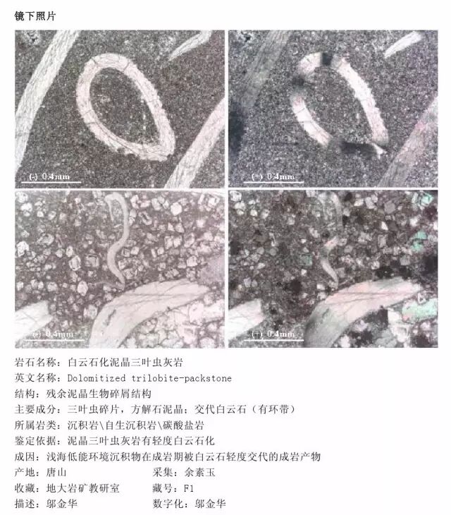 三大岩类190种岩石鉴定图册，看完你就是专家！的图221