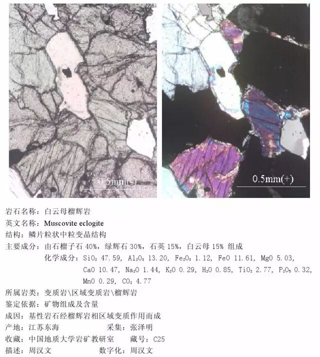 三大岩类190种岩石鉴定图册，看完你就是专家！的图356