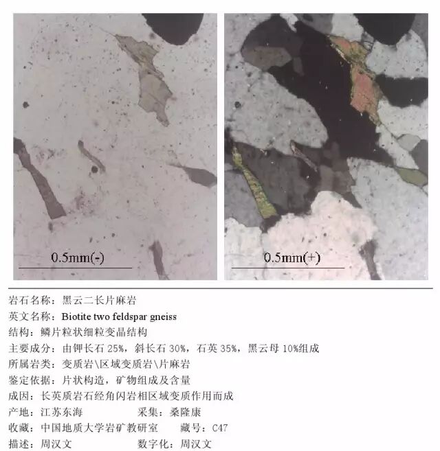 三大岩类190种岩石鉴定图册，看完你就是专家！的图337