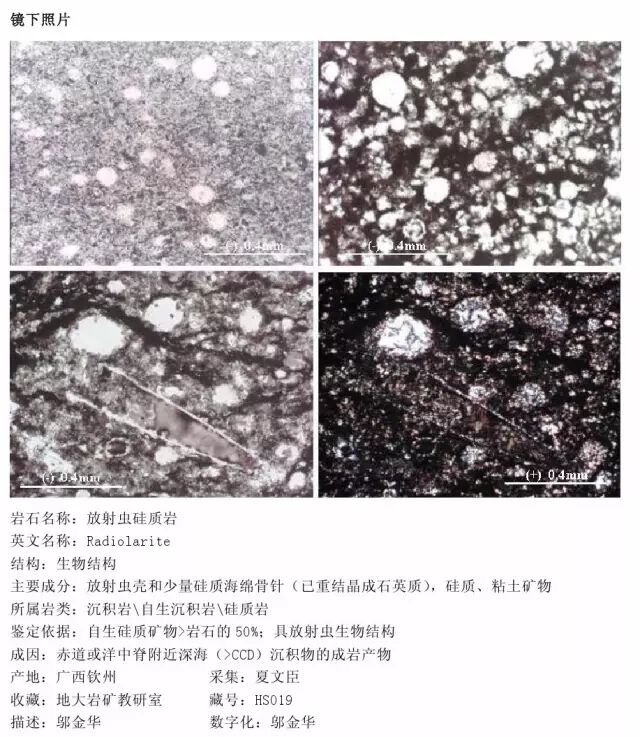 三大岩类190种岩石鉴定图册，看完你就是专家！的图235