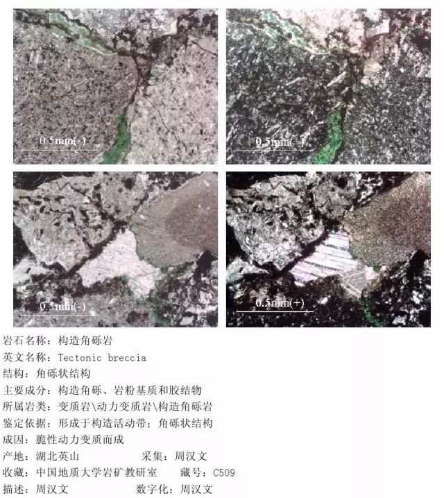 三大岩类190种岩石鉴定图册，看完你就是专家！的图275