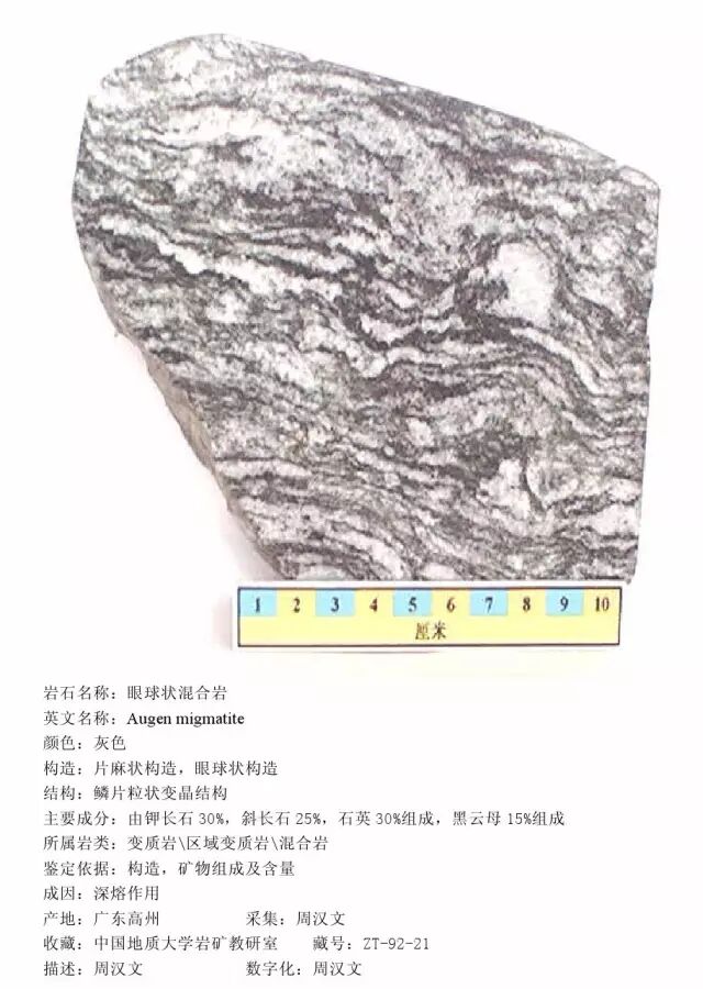 三大岩类190种岩石鉴定图册，看完你就是专家！的图378