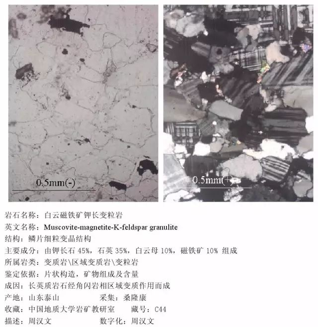 三大岩类190种岩石鉴定图册，看完你就是专家！的图342