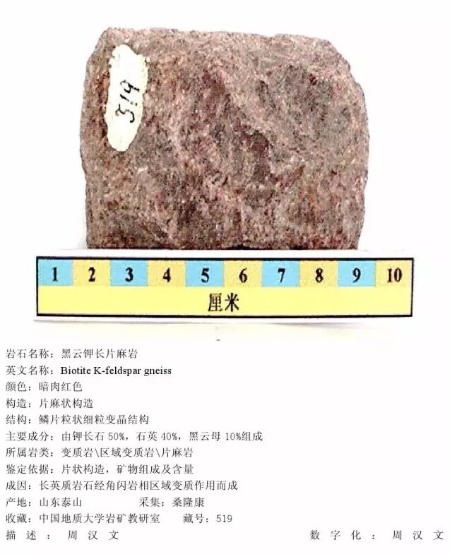 三大岩类190种岩石鉴定图册，看完你就是专家！的图324