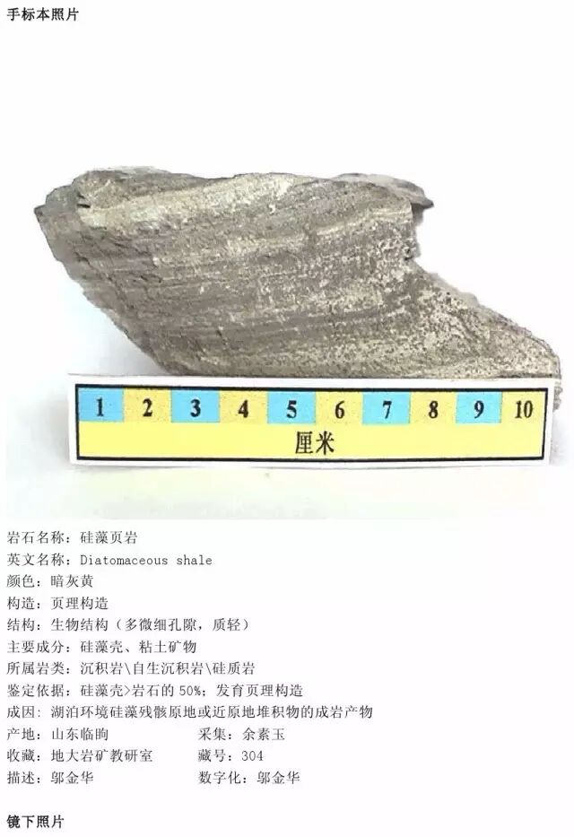 三大岩类190种岩石鉴定图册，看完你就是专家！的图236