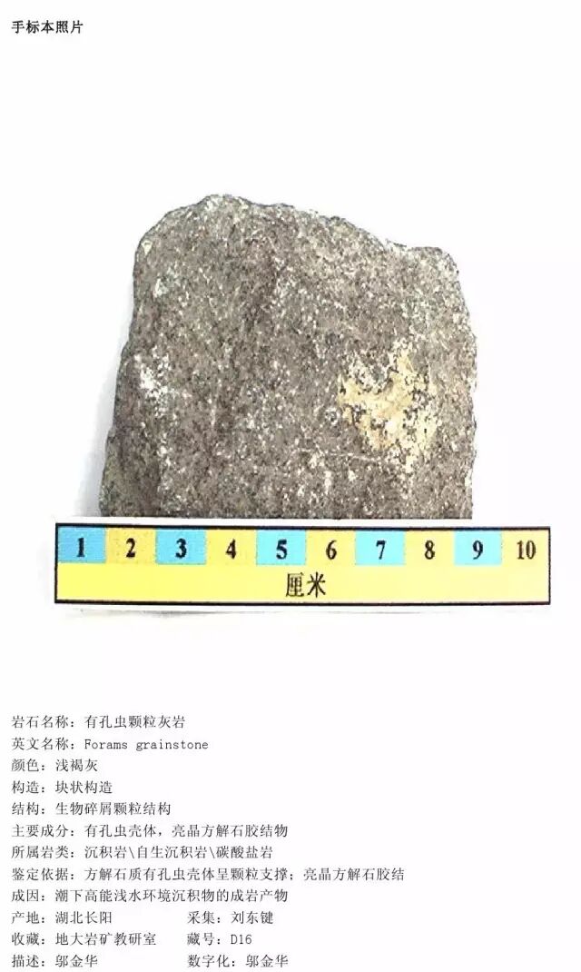 三大岩类190种岩石鉴定图册，看完你就是专家！的图192