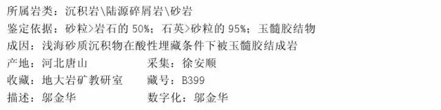三大岩类190种岩石鉴定图册，看完你就是专家！的图150
