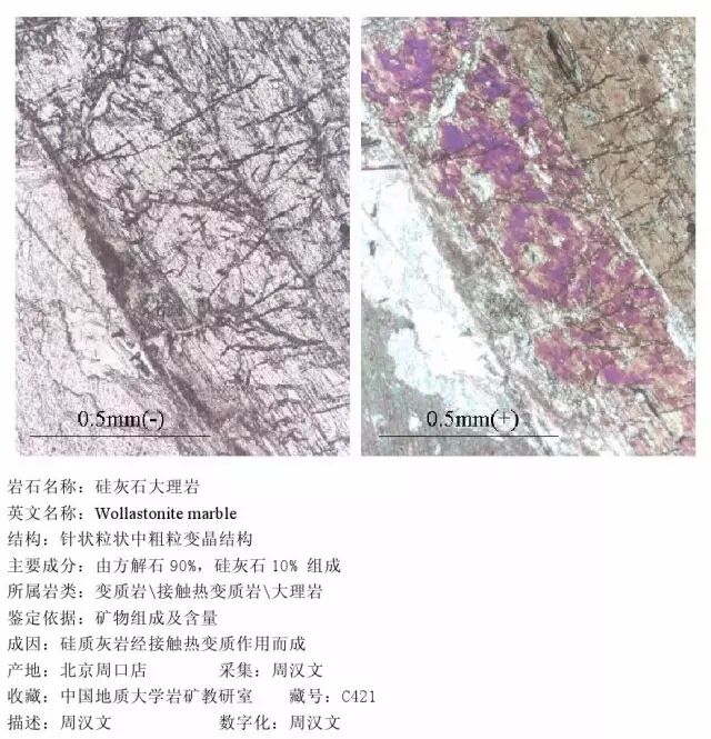 三大岩类190种岩石鉴定图册，看完你就是专家！的图359