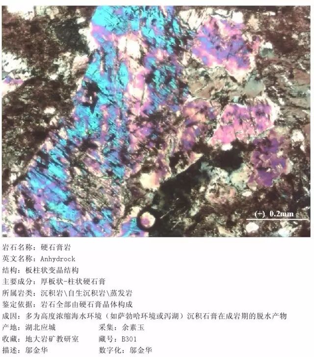 三大岩类190种岩石鉴定图册，看完你就是专家！的图243