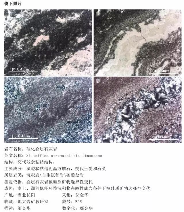 三大岩类190种岩石鉴定图册，看完你就是专家！的图231