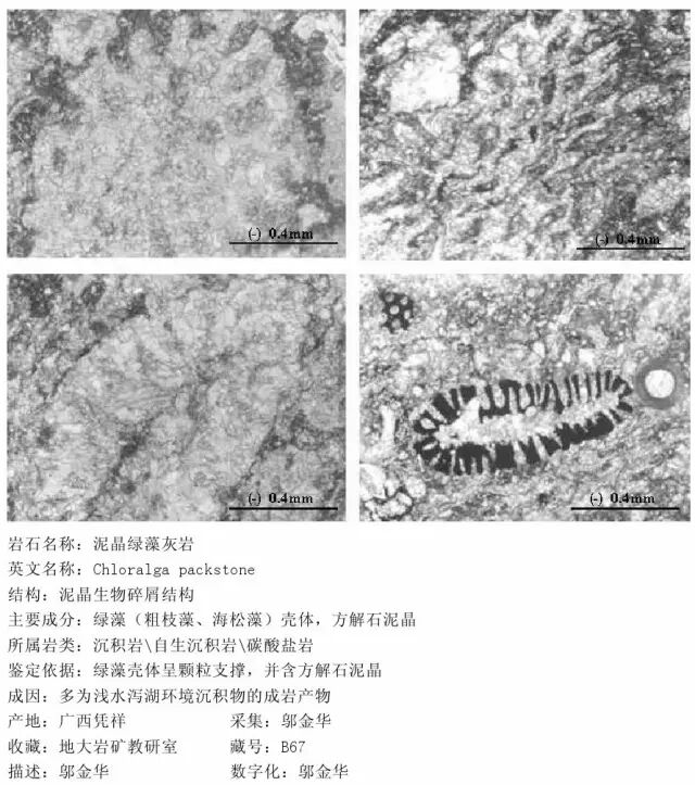 三大岩类190种岩石鉴定图册，看完你就是专家！的图213