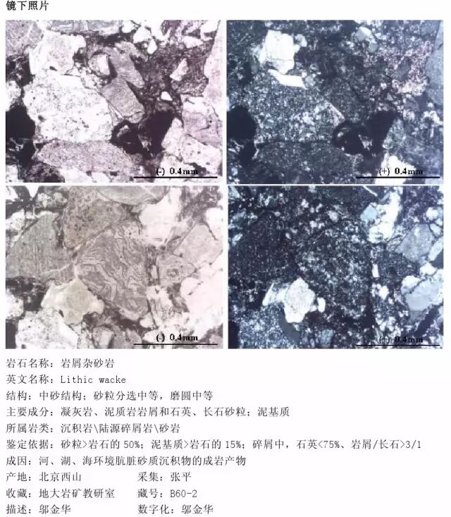 三大岩类190种岩石鉴定图册，看完你就是专家！的图168