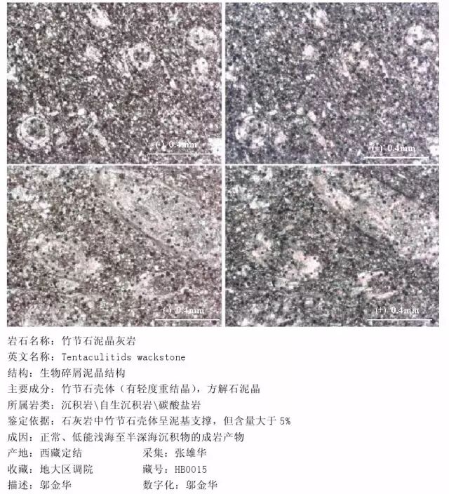 三大岩类190种岩石鉴定图册，看完你就是专家！的图217