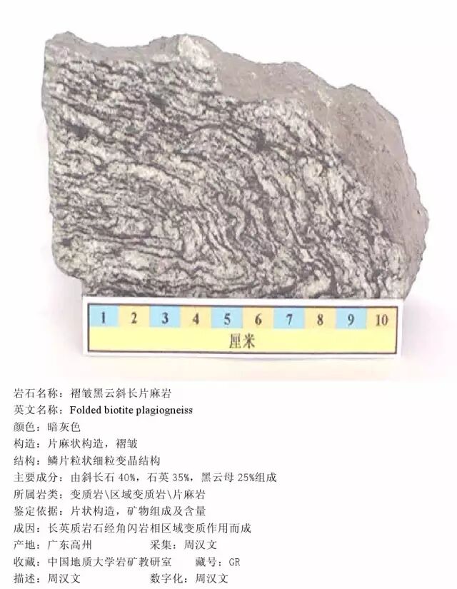 三大岩类190种岩石鉴定图册，看完你就是专家！的图335