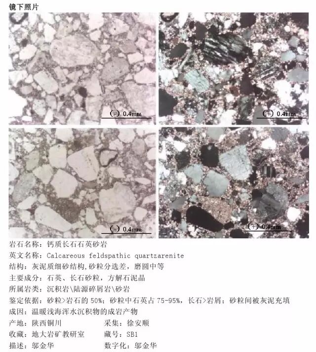 三大岩类190种岩石鉴定图册，看完你就是专家！的图154