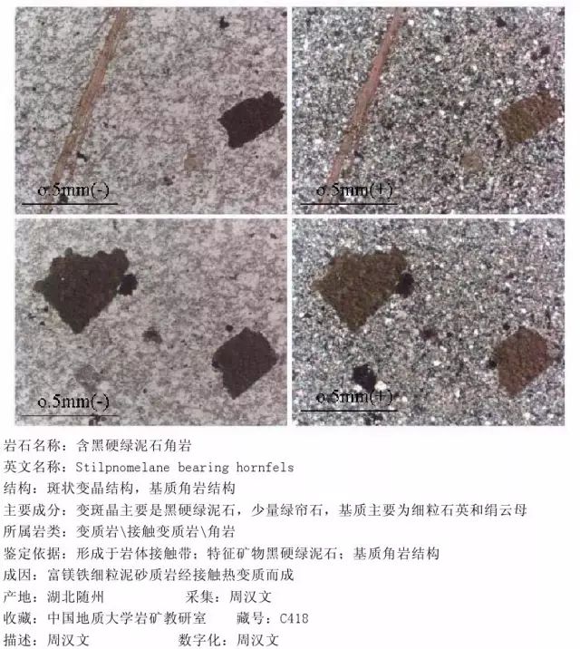 三大岩类190种岩石鉴定图册，看完你就是专家！的图259