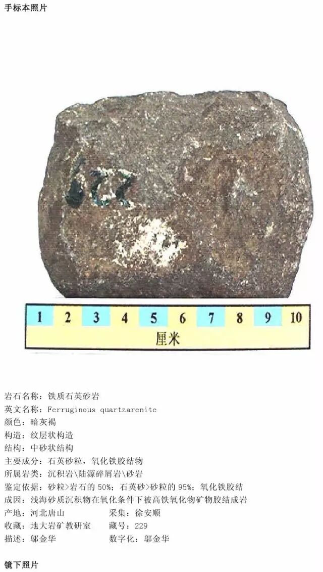 三大岩类190种岩石鉴定图册，看完你就是专家！的图144