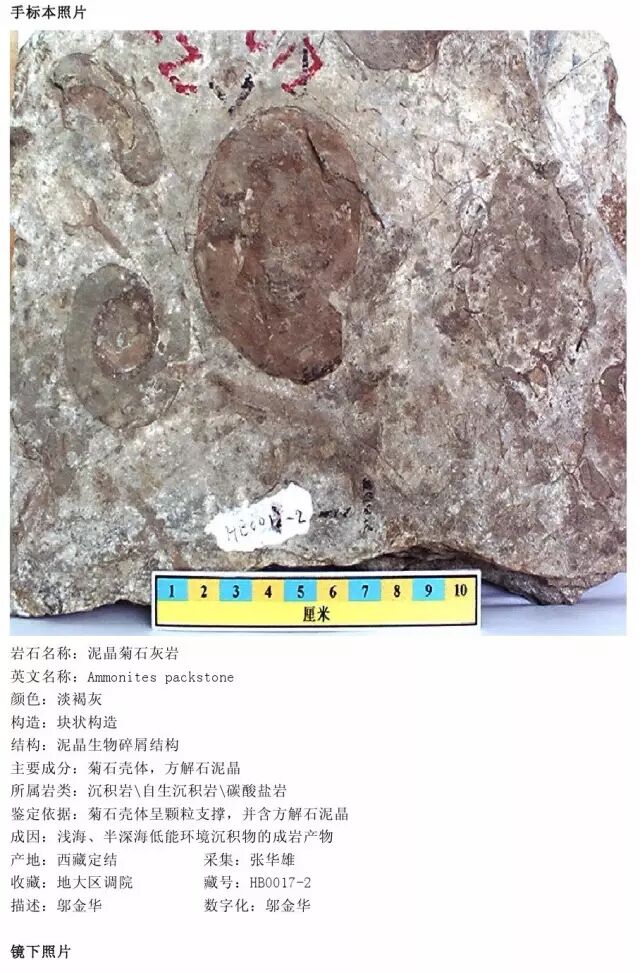 三大岩类190种岩石鉴定图册，看完你就是专家！的图206