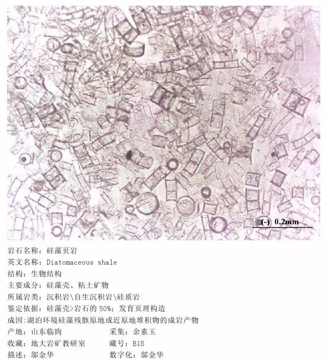 三大岩类190种岩石鉴定图册，看完你就是专家！的图237