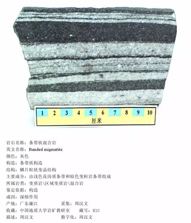 三大岩类190种岩石鉴定图册，看完你就是专家！的图380