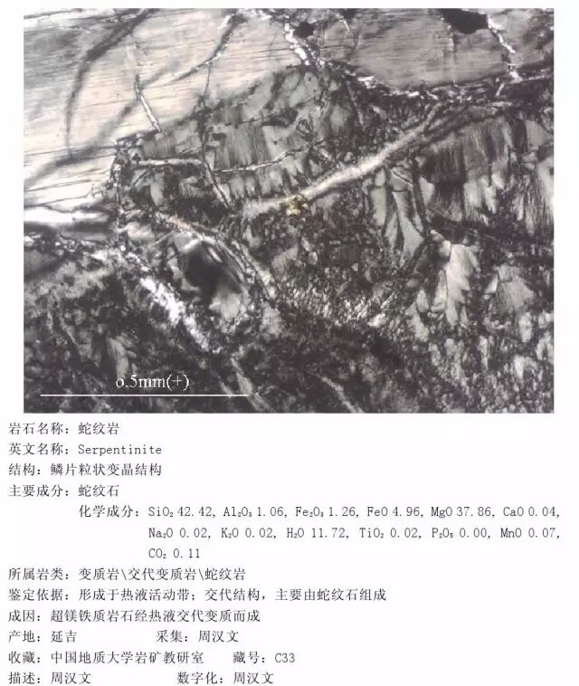 三大岩类190种岩石鉴定图册，看完你就是专家！的图266