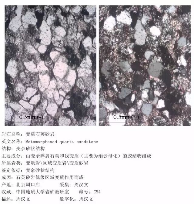 三大岩类190种岩石鉴定图册，看完你就是专家！的图282