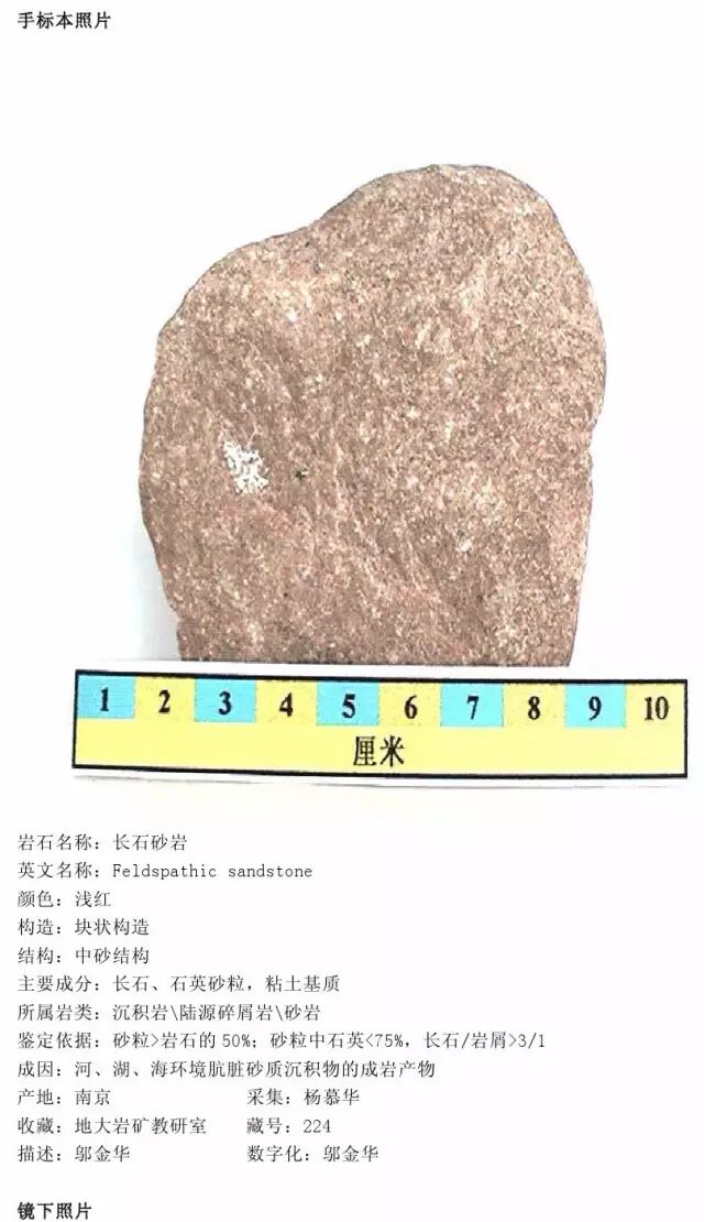 三大岩类190种岩石鉴定图册，看完你就是专家！的图161