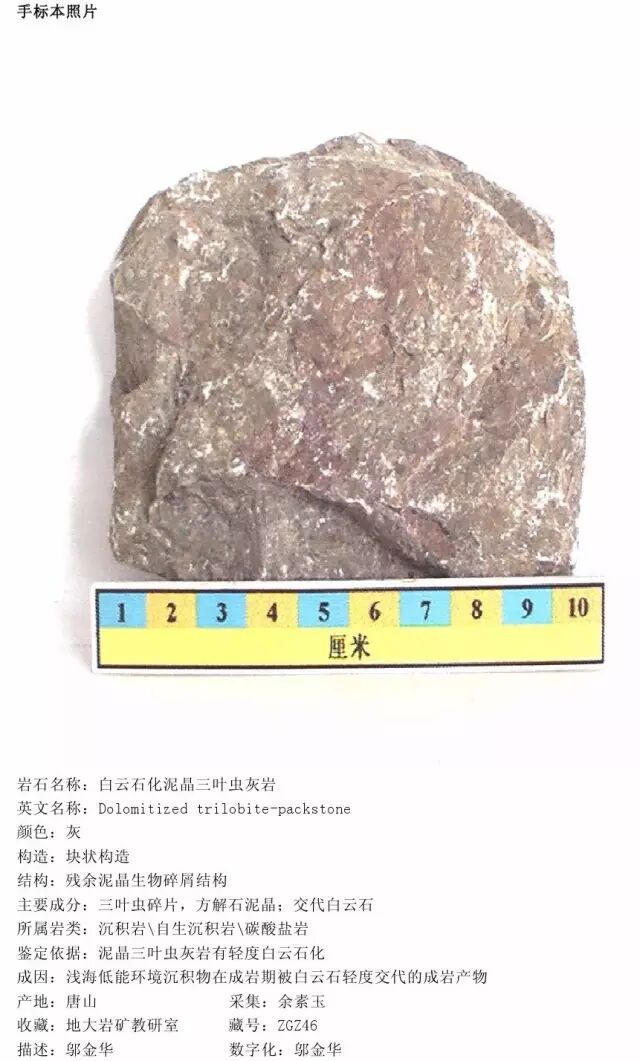 三大岩类190种岩石鉴定图册，看完你就是专家！的图220