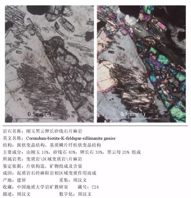 三大岩类190种岩石鉴定图册，看完你就是专家！的图341