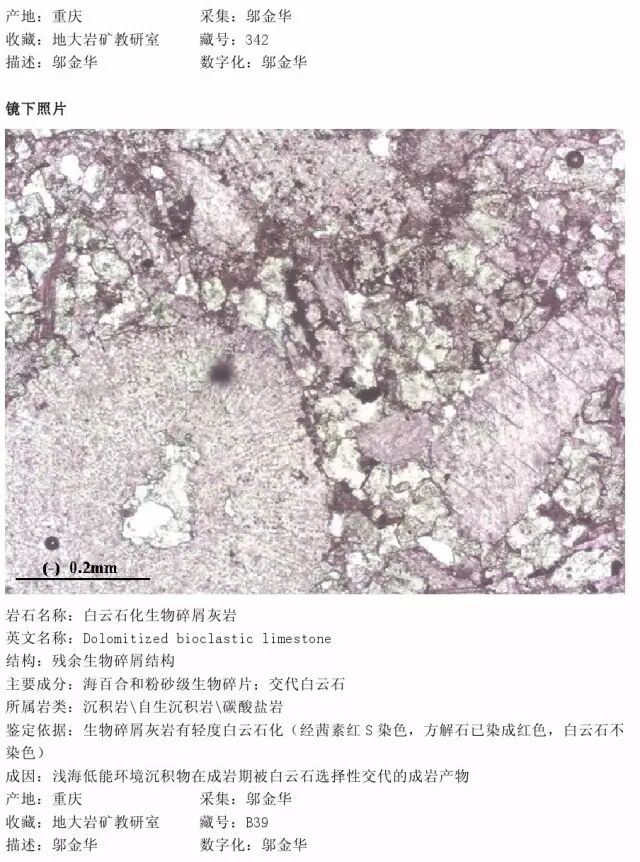 三大岩类190种岩石鉴定图册，看完你就是专家！的图219