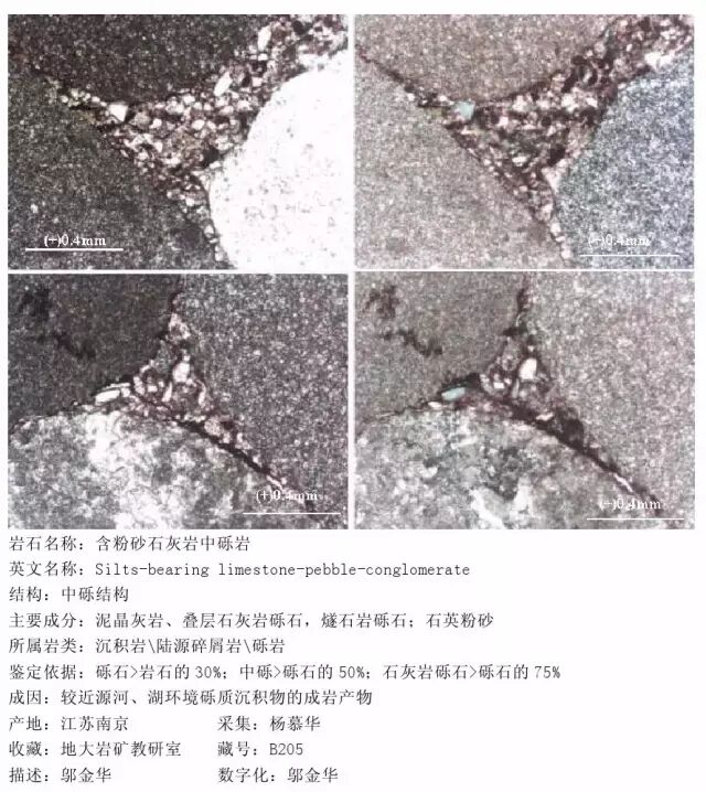 三大岩类190种岩石鉴定图册，看完你就是专家！的图131