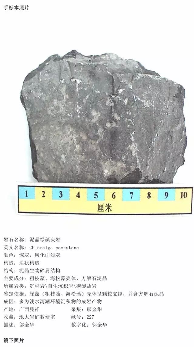 三大岩类190种岩石鉴定图册，看完你就是专家！的图212