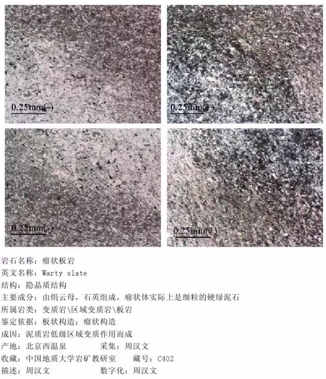 三大岩类190种岩石鉴定图册，看完你就是专家！的图284